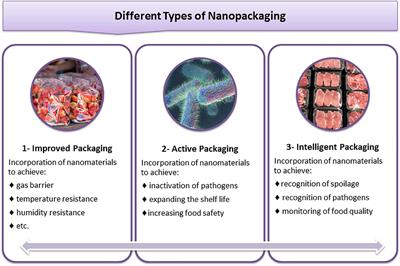 Antimicrobial Properties of Food Nanopackaging: A New Focus on Foodborne Pathogens